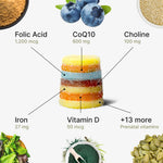 Luminary Vitamins preconception gummies for women, showing colorful fruit-flavored supplements with natural ingredients.